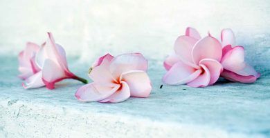 Afirmaciones positivas